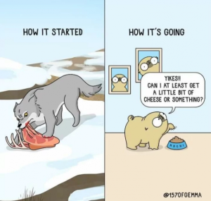 Stupid Bar Memes 2bfb7128822f256a