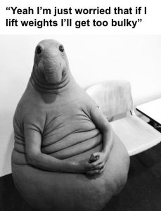 Stupid Bar Memes 2fc7e682a43e7fee