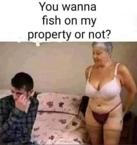 Stupid Bar Memes 33402bf0f7d2233f