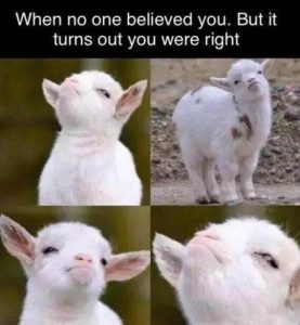 Stupid Bar Memes 366ed7f4794af661