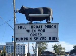 Stupid Bar Memes 456483853406971sn