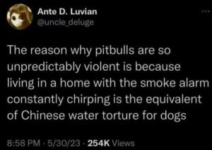 Stupid Bar Memes 4938ca3f36cf8378