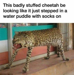 Stupid Bar Memes 4ac99be667d31859