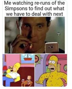 Stupid Bar Memes 4b654ed2f67b09fd