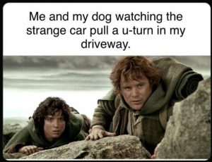 Stupid Bar Memes 504fb233f426a083