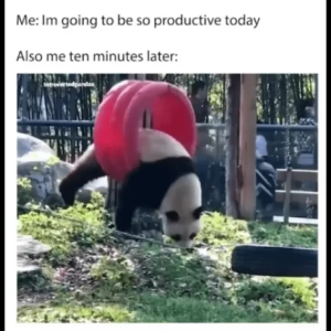 Stupid Bar Memes 5424517dc31658f