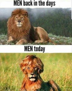 Stupid Bar Memes 5aad63c7a6dbdce9
