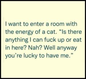Stupid Bar Memes 5f65421fee9c2169