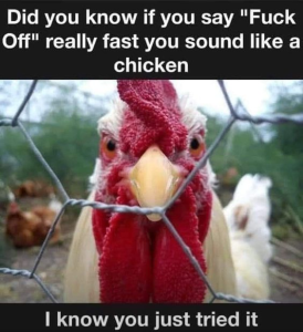 Stupid Bar Memes 62d5ba35376a4e62