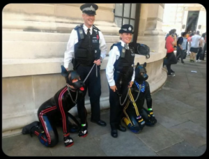 Stupid Bar Memes 649f7bbe40578fb4