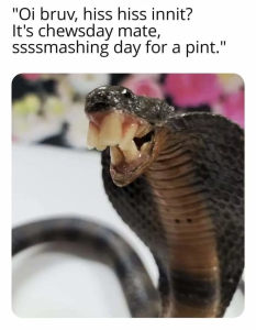 Stupid Bar Memes 66ab323216ad3