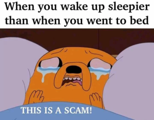 Stupid Bar Memes 66ab736a9977e
