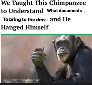 Stupid Bar Memes 66b107ed942e