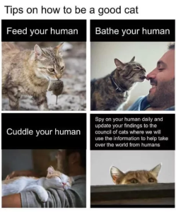 Stupid Bar Memes 66bc991f085b5