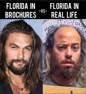 Stupid Bar Memes 66be10bf74bdc