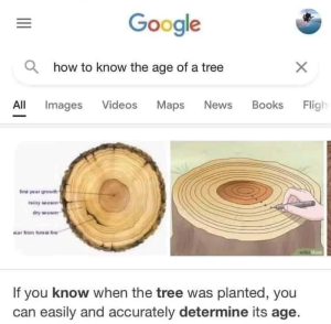 Stupid Bar Memes 66be157107ee2