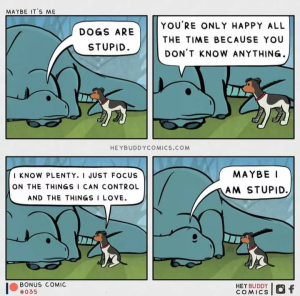 Stupid Bar Memes 66c34634a8878