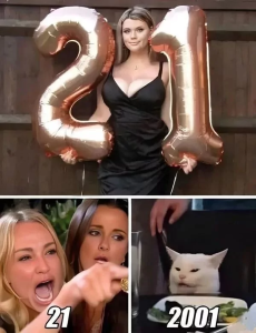 Stupid Bar Memes 66c35ab9e6263