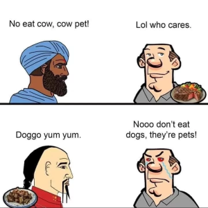 Stupid Bar Memes 66c84d04d85eb