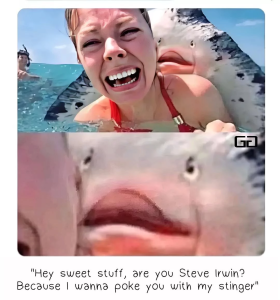 Stupid Bar Memes 66c9369e90af3