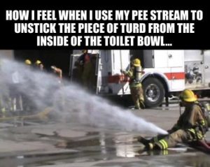 Stupid Bar Memes 74d4f9f7f115a2f2