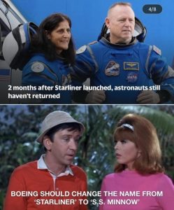 Stupid Bar Memes 84a0ed13cc075ea5
