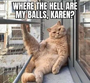 Stupid Bar Memes 8731fc9d5a971c4c