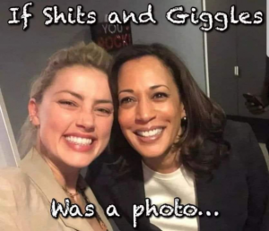 Stupid Bar Memes 8976cf7fc7194bbe
