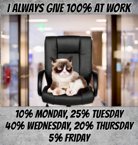 Stupid Bar Memes 89fbbc12703f08403ae9ef09f5c45131