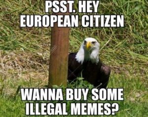 Stupid Bar Memes 8e673d030271e8cc