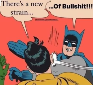 Stupid Bar Memes 8e8d83432e47f521