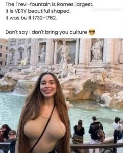 Stupid Bar Memes 8eba77aa84a90685