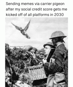 Stupid Bar Memes 906b3d71147c8cd8