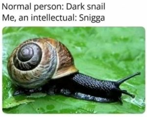 Stupid Bar Memes 93b66a0b8733f015