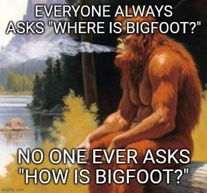 Stupid Bar Memes 9f5d7f177560d6af