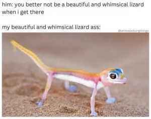 Stupid Bar Memes KBtRbMm