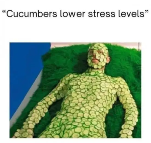 Stupid Bar Memes OerpUUa