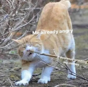 Stupid Bar Memes RbU2u6h