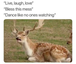 Stupid Bar Memes VoXru5N