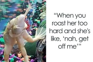 Stupid Bar Memes a2vr499s700b