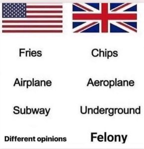 Stupid Bar Memes a4PZyjZs700b