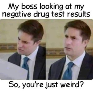 Stupid Bar Memes aLnMB2zs700b