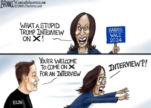 Stupid Bar Memes acea293bd9898a98