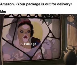 Stupid Bar Memes amazonspackagesissoutsdeliveryspakidge e1724360611471