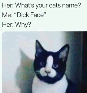 Stupid Bar Memes apRrw5Es460swp
