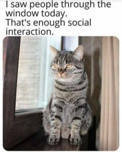 Stupid Bar Memes b2c8871f9a5fd8a7