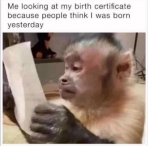 Stupid Bar Memes c1e531042db40de1
