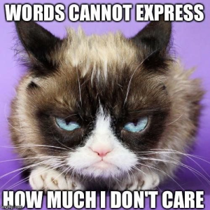 Stupid Bar Memes c70302d8294