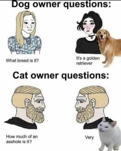 Stupid Bar Memes d16fd2622182d497