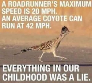 Stupid Bar Memes d2638f81bc68b6b1